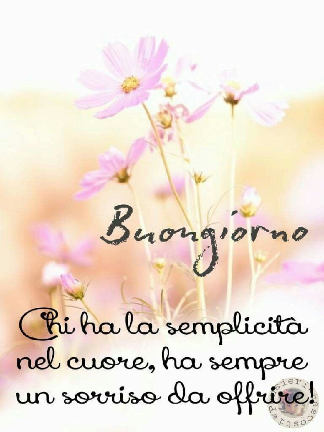 Aforismi per il Buongiorno (11)