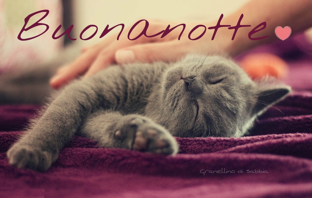 Bacionotte (7)