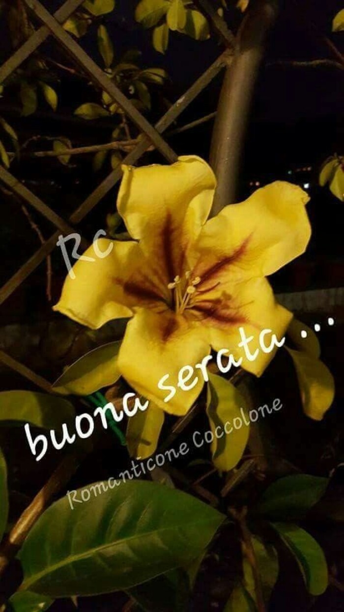 Belle immagini di Buona Serata (6)