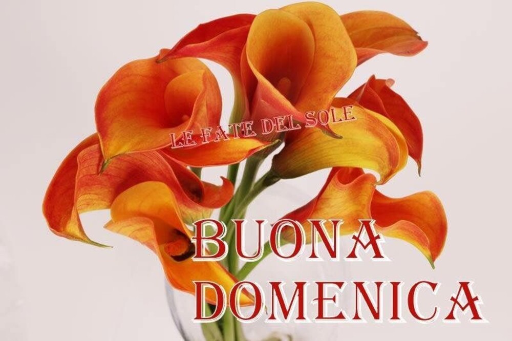 Buon Giorno e Felice Domenica (4)