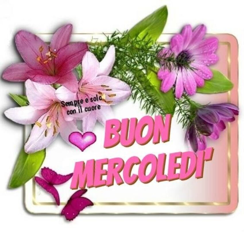 Buon Mercoledì buongiorno coi fiori (4)