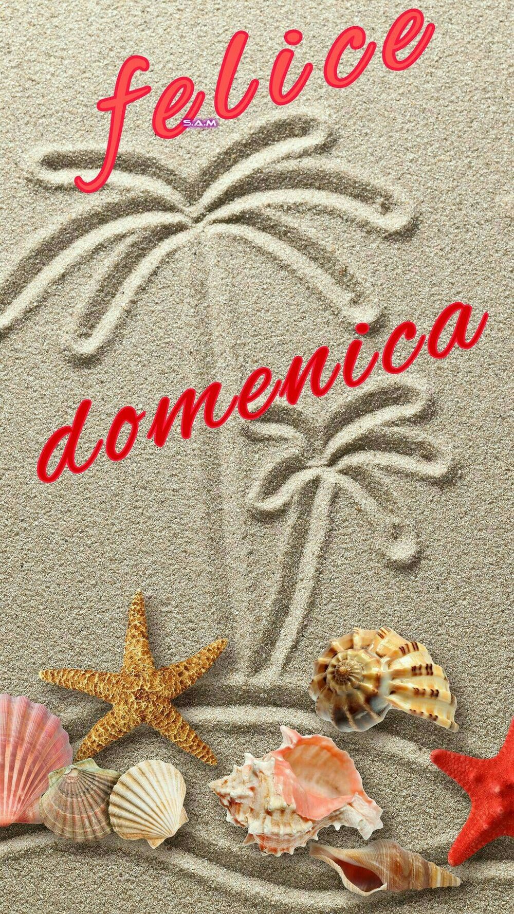 Buona Domenica (1)