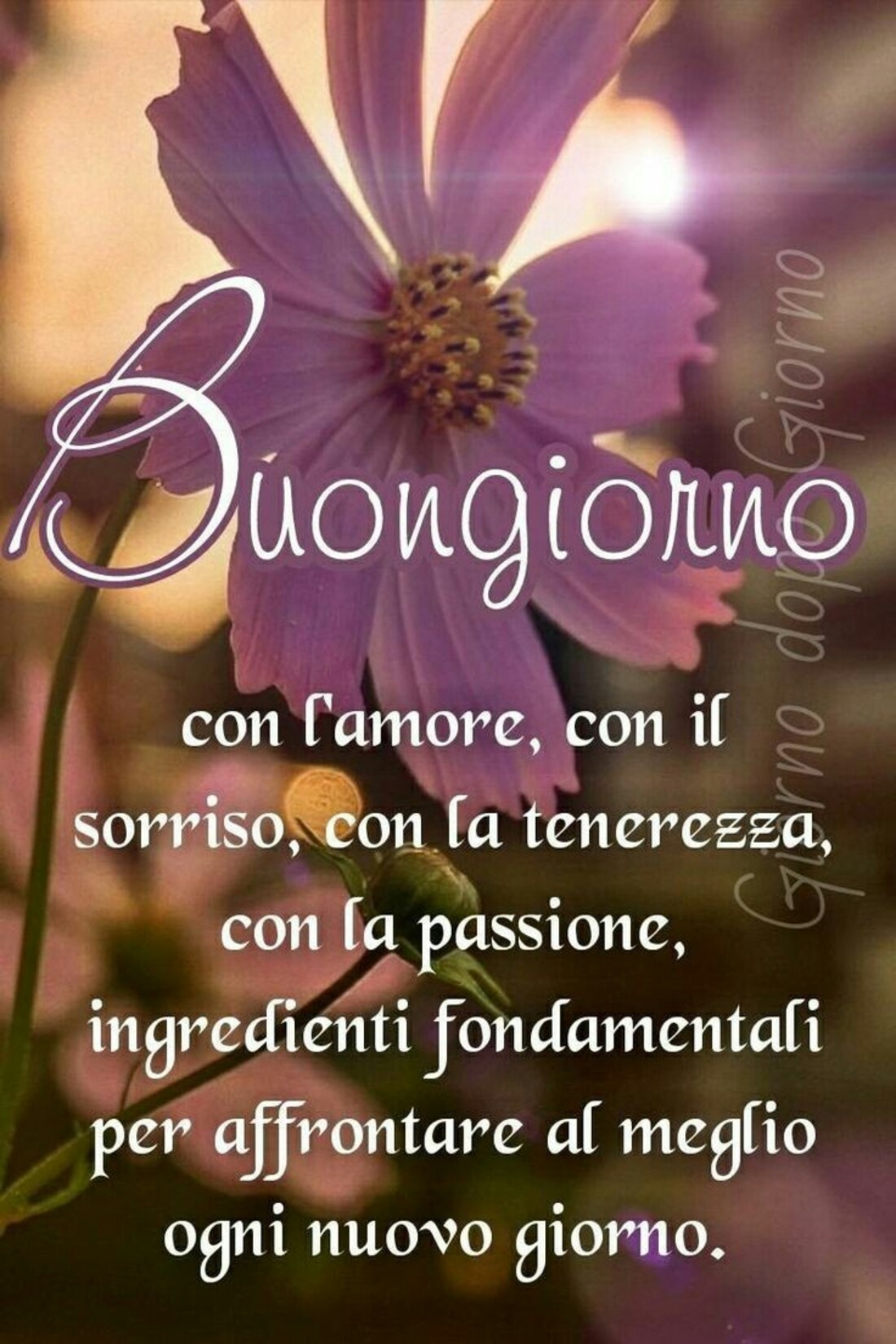 Frasi belle di Buongiorno (7)