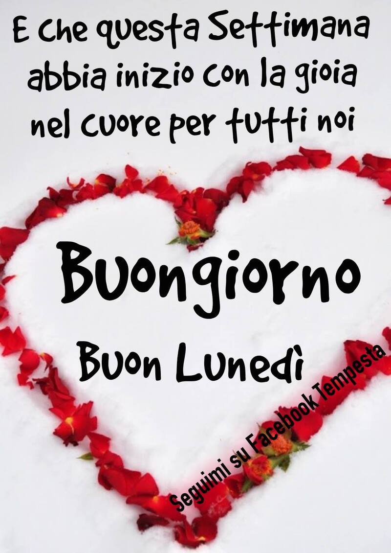 Frasi di Buon Lunedì (3)