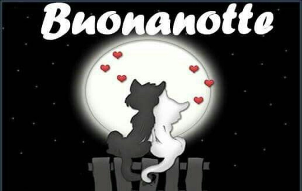 Immagini belle Buonanotte Amore Mio (4)