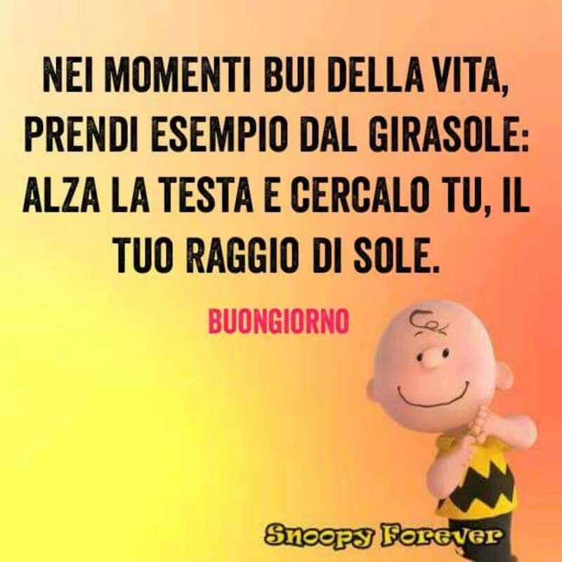 Belle immagini Buongiorno Snoopy (2)