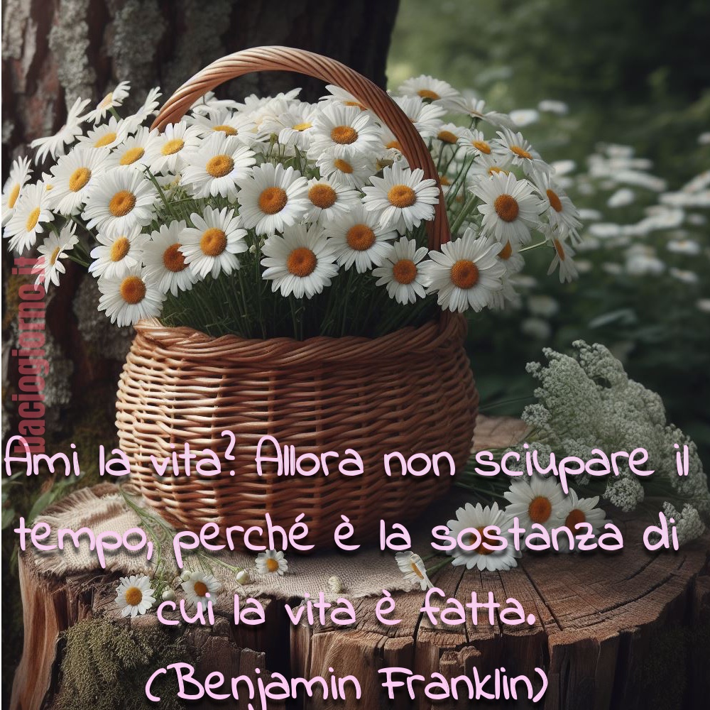 “Ami la vita? Allora non sciupare il tempo perché è la sostanza di cui la vita è fatta.” -Benjamin Franklin