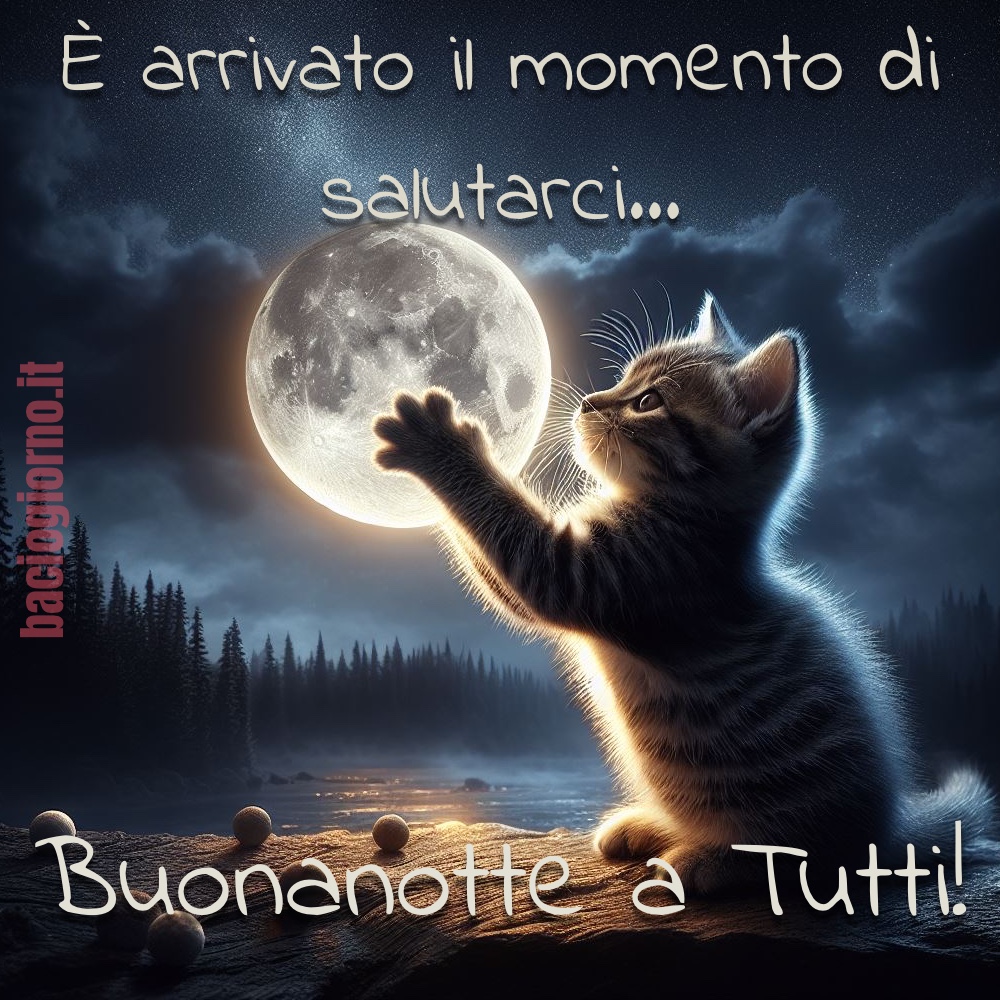 “È arrivato il momento di salutarci... Buonanotte a Tutti!”