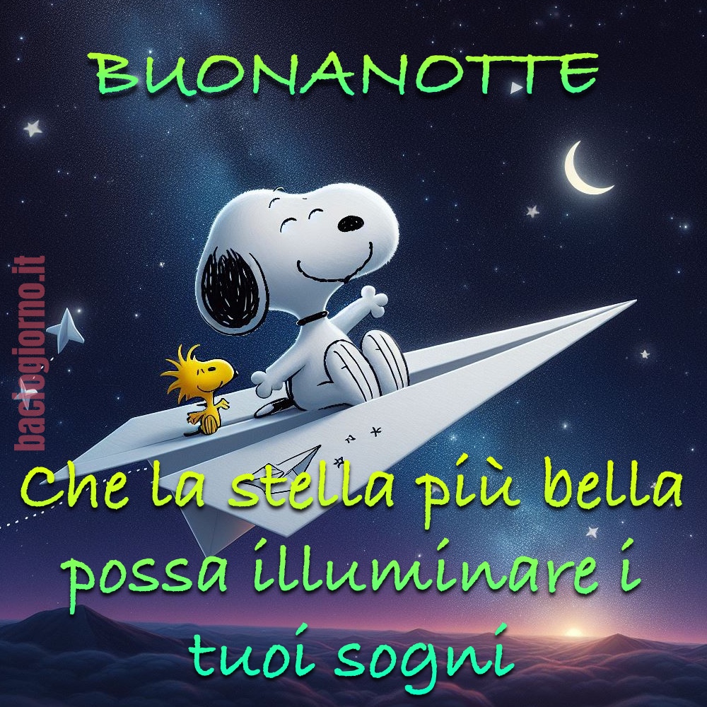 “Buonanotte. Che la stella più bella possa illuminare i tuoi sogni.” (Snoopy)