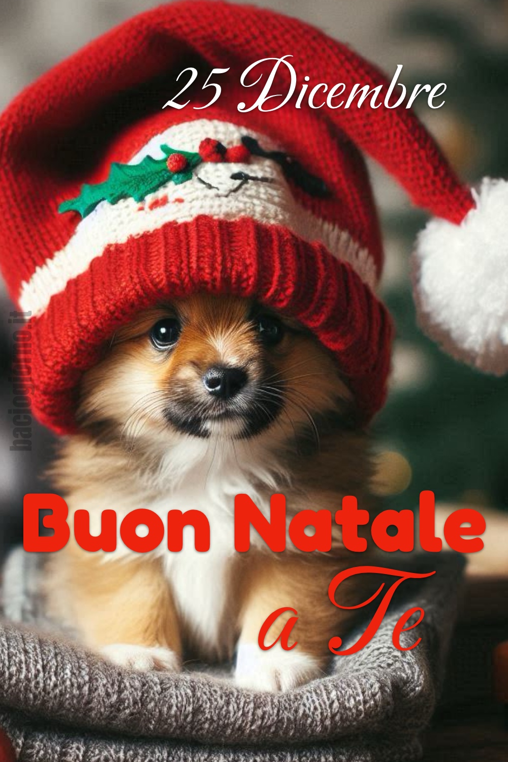 25 Dicembre. Buon Natale a Te